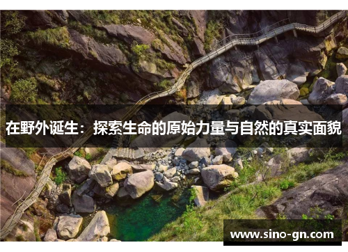 在野外诞生：探索生命的原始力量与自然的真实面貌