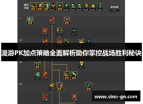 漫游PK加点策略全面解析助你掌控战场胜利秘诀