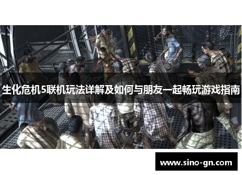 生化危机5联机玩法详解及如何与朋友一起畅玩游戏指南